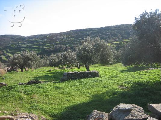 Ευκαιρια στην Σίφνο